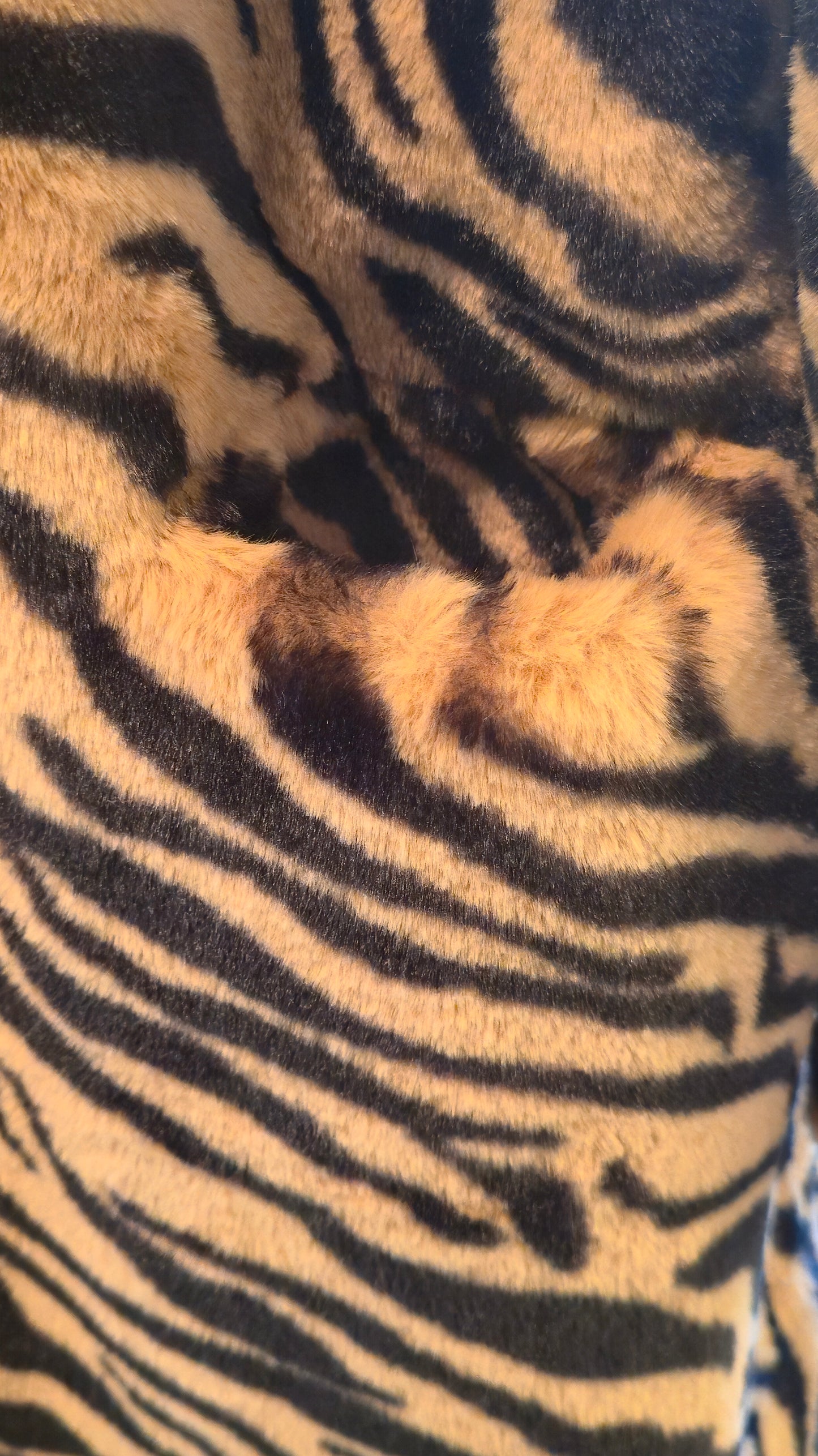 The Legacy Roar Coat